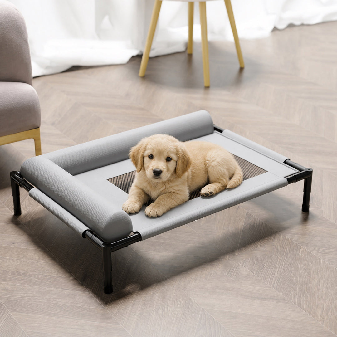 Elevated Dog Bed | Breathable Mesh Raised Cot with Pillow