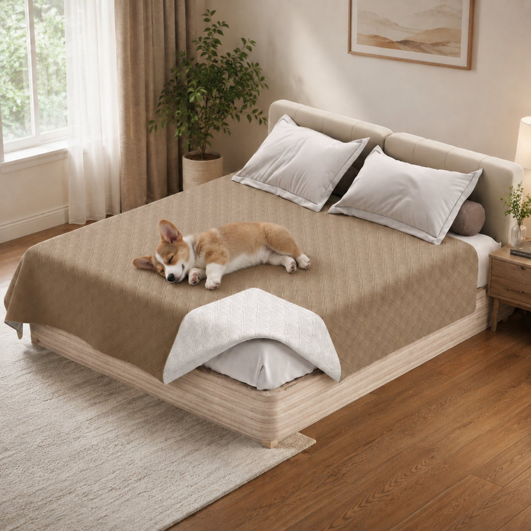 Water-Repellent Pet Blanket | Washable Mattress & Sofa Protector