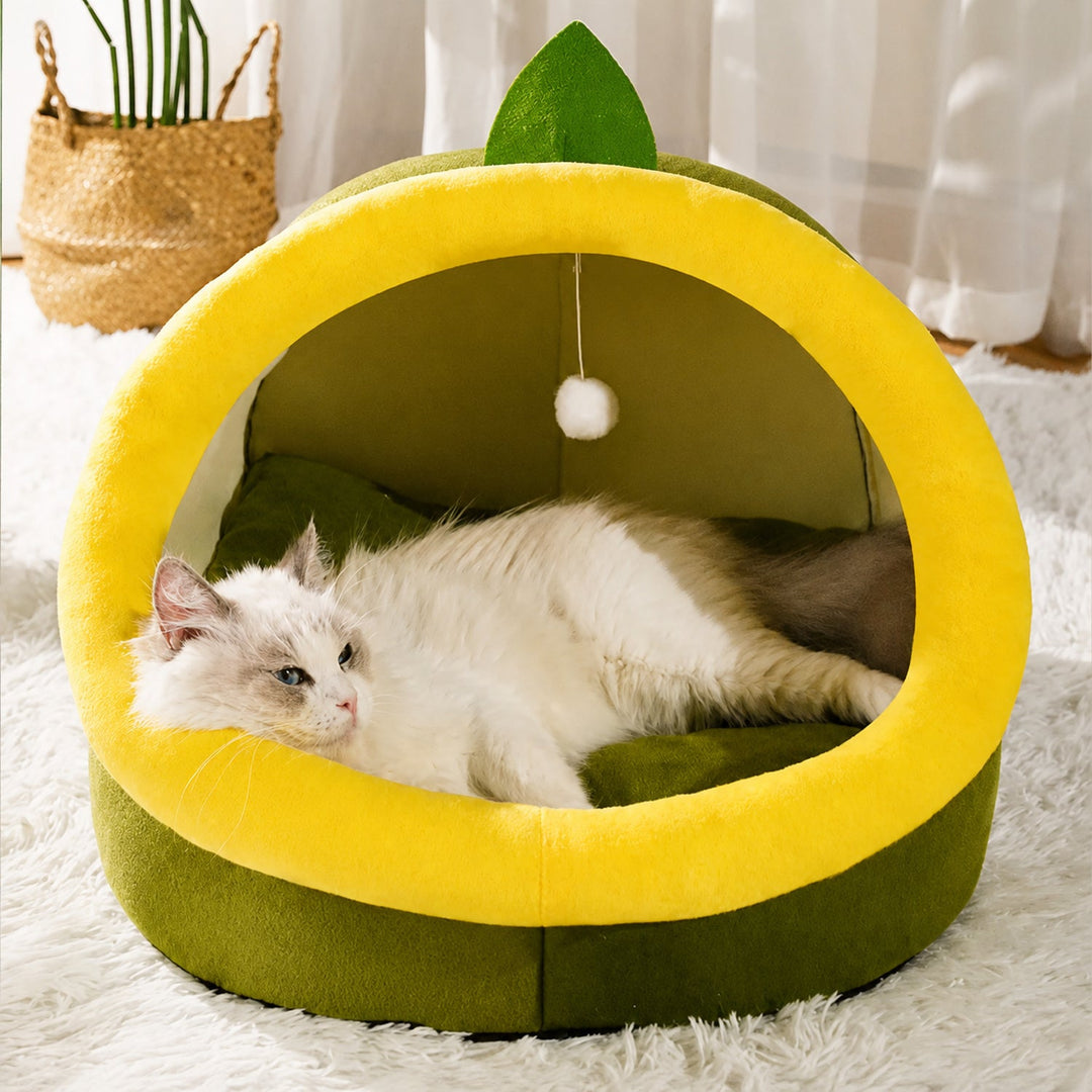 Dog Bed & Cat Bed | Avocado House | Soft Plush Hideaway with a Non-Slip Base
