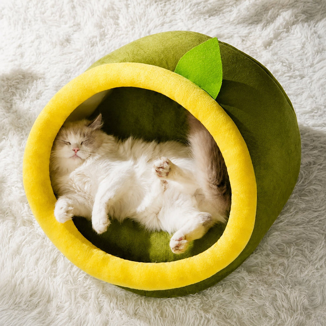 Dog Bed & Cat Bed | Avocado House | Soft Plush Hideaway with a Non-Slip Base