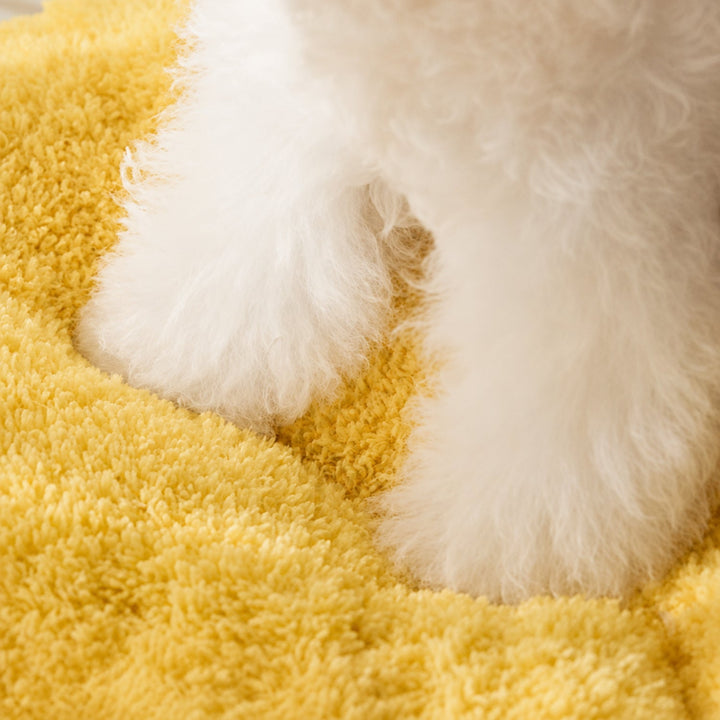 Dog Bed & Cat Bed | Silly Monster House | Soft Plush, Removable Cushion & Non-Slip Base