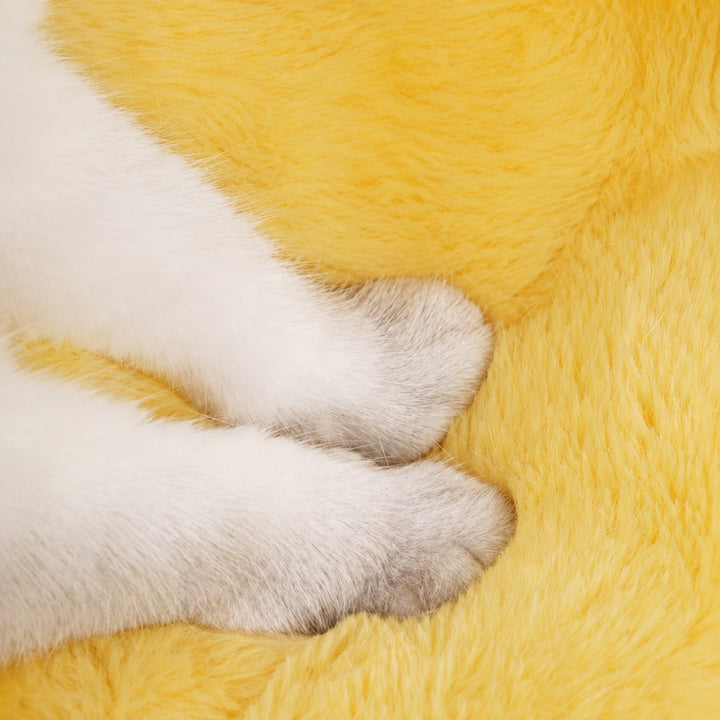 Dog Bed & Cat Bed | Pumpkin Cave | Warm Washable Plush with a Non-Slip Base