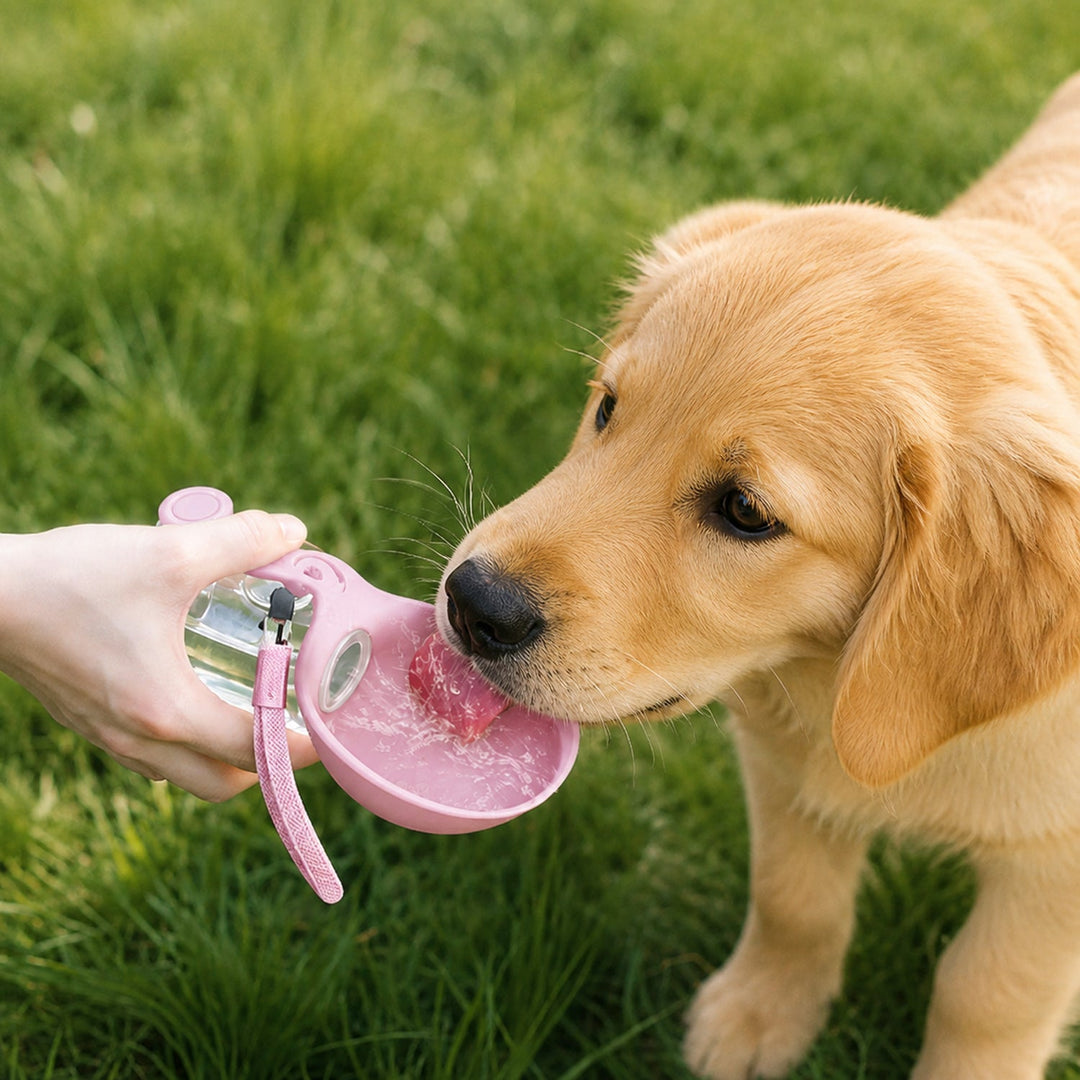 Foldable Dog Water Bottle | Collapsible Silicone Drinking Cup | 285 ml Capacity