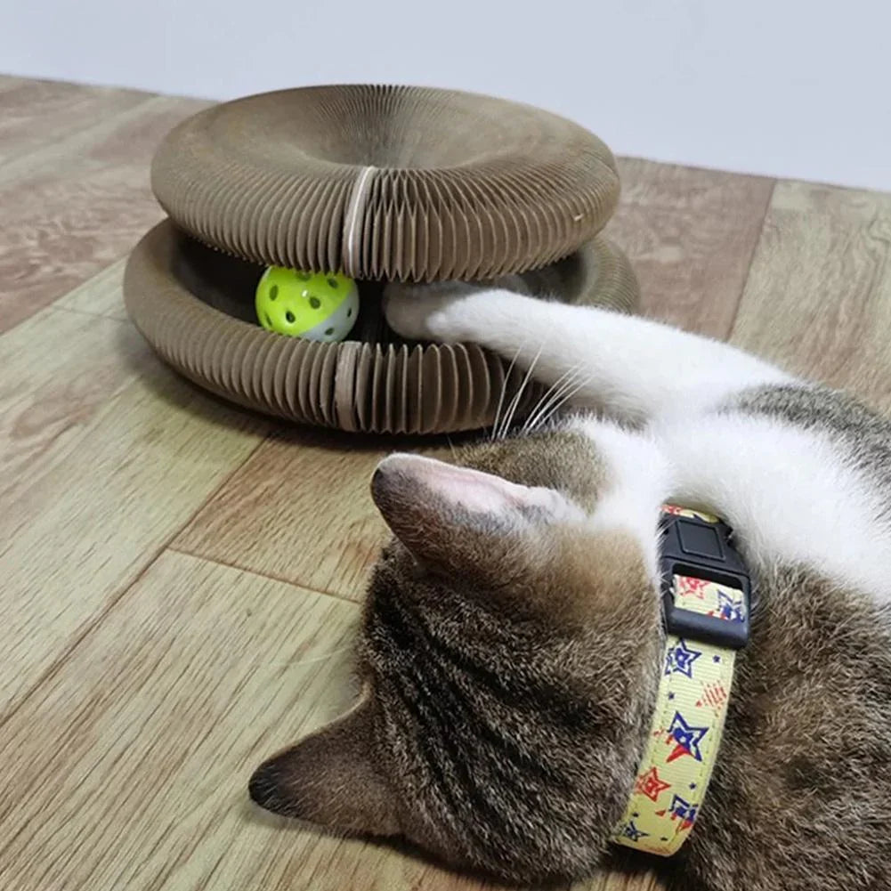 Active Fun for Your Cat – PurrPlay