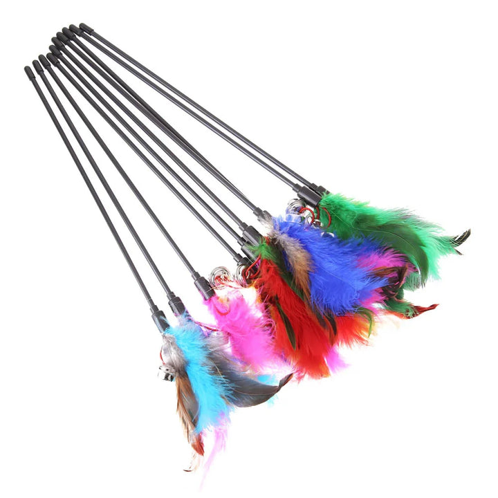 Cat Feather Toys (5-Pack) – PlayFeather