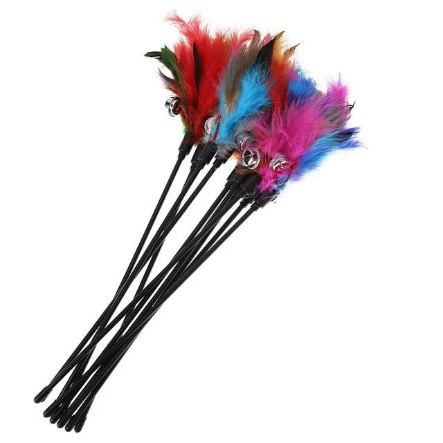 Cat Feather Toys (5-Pack) – PlayFeather
