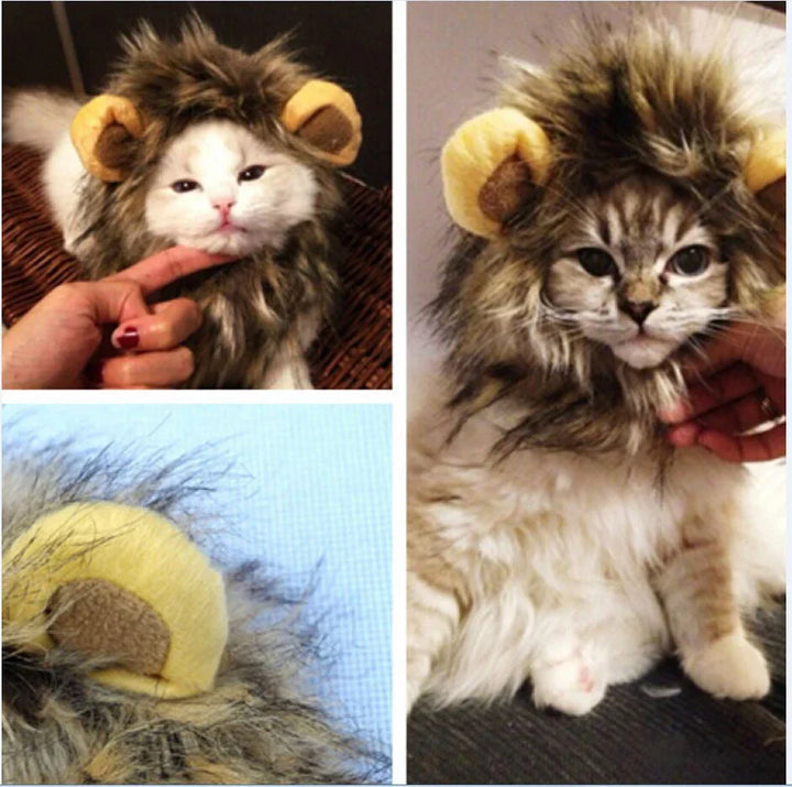 Royal Cat Mane – FelineKing