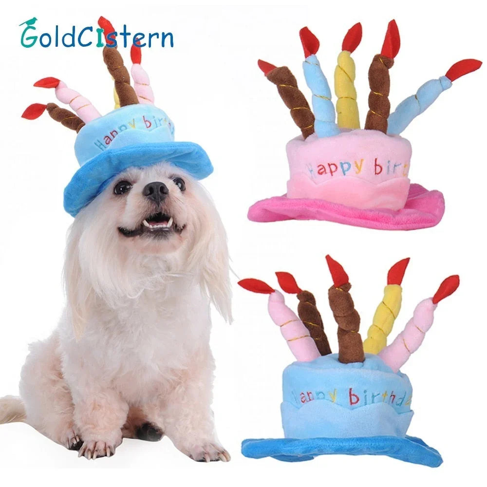 Pet Birthday Hat – PartyPaws