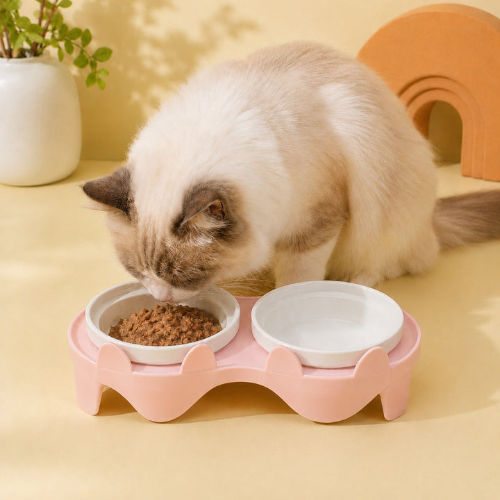 Elevated Ceramic Cat Feeder | 15° Tilted Double Bowls | Easy-Clean Neck-Friendly Stand