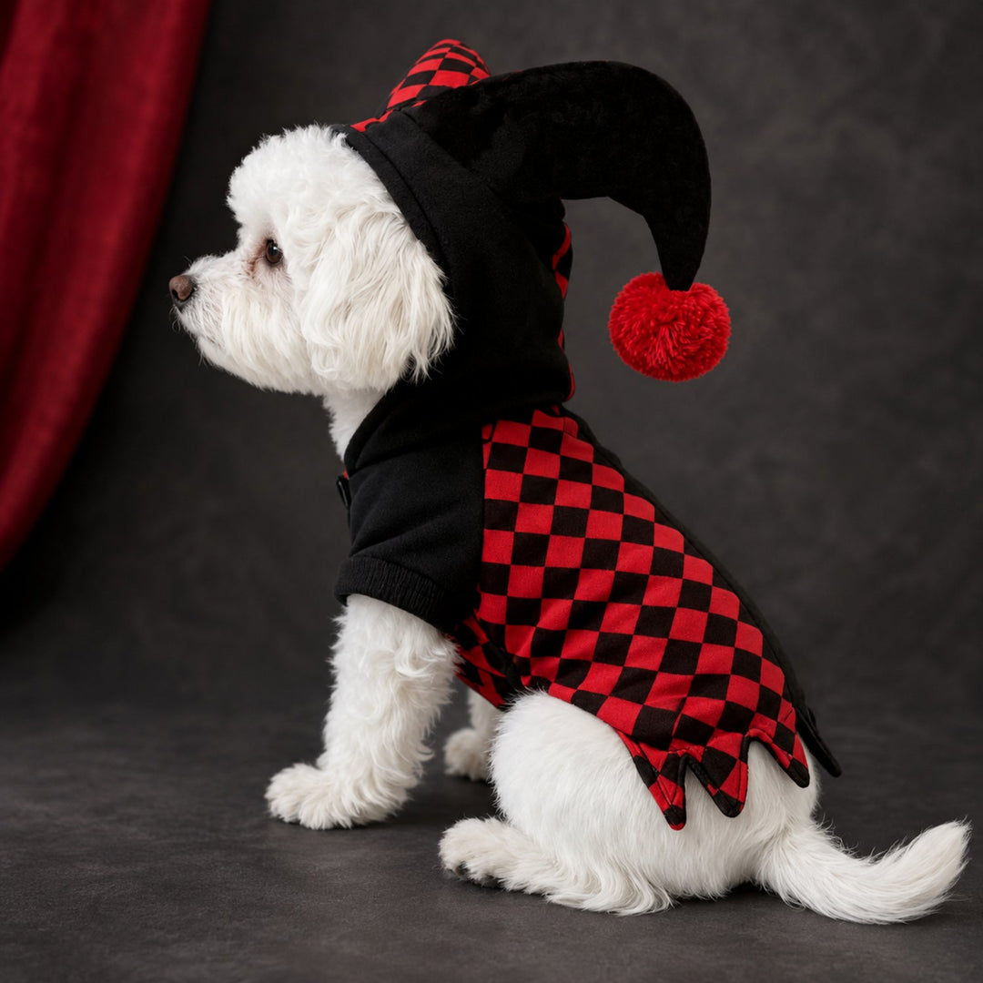 Jester Pet Costume | Red & Black Halloween Fancy Dress for Cats & Small Dogs