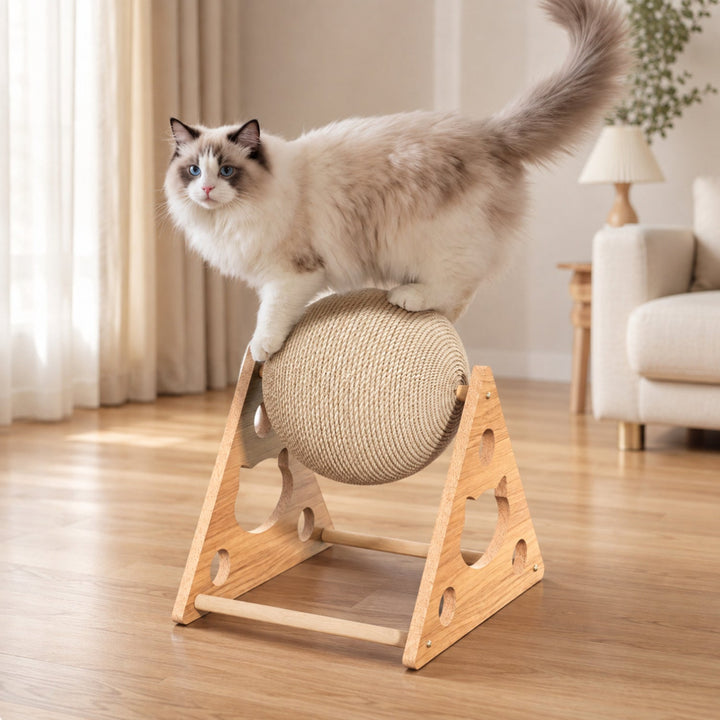 Rolling Ball Cat Scratcher | Interactive Exercise Toy | Stable Wooden Frame