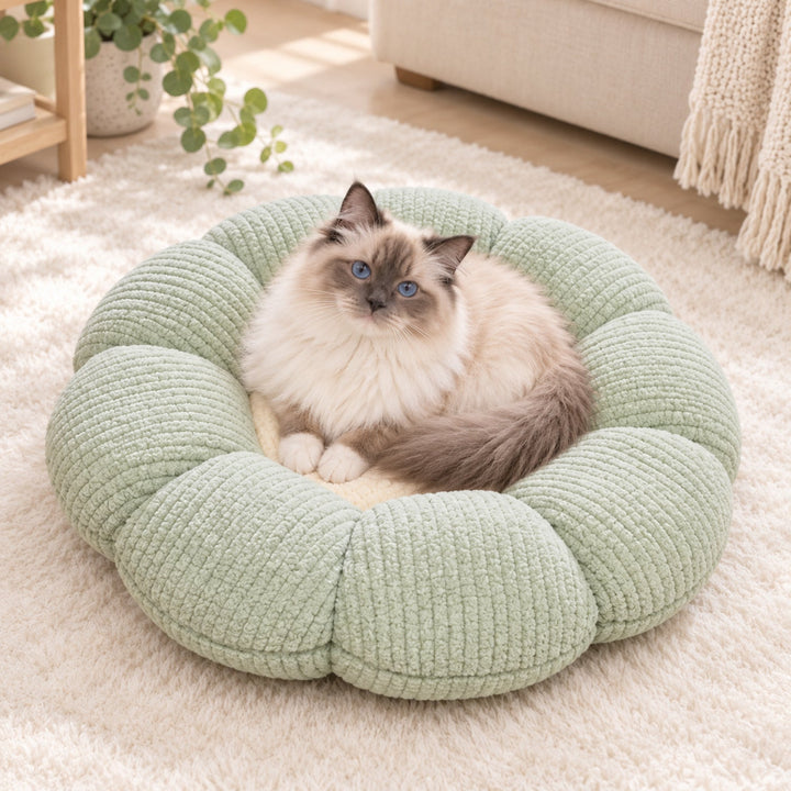 Cat Bed & Small Dog Bed | Flower Puff Pet Mat & Seat Cushion | Ribbed Plush