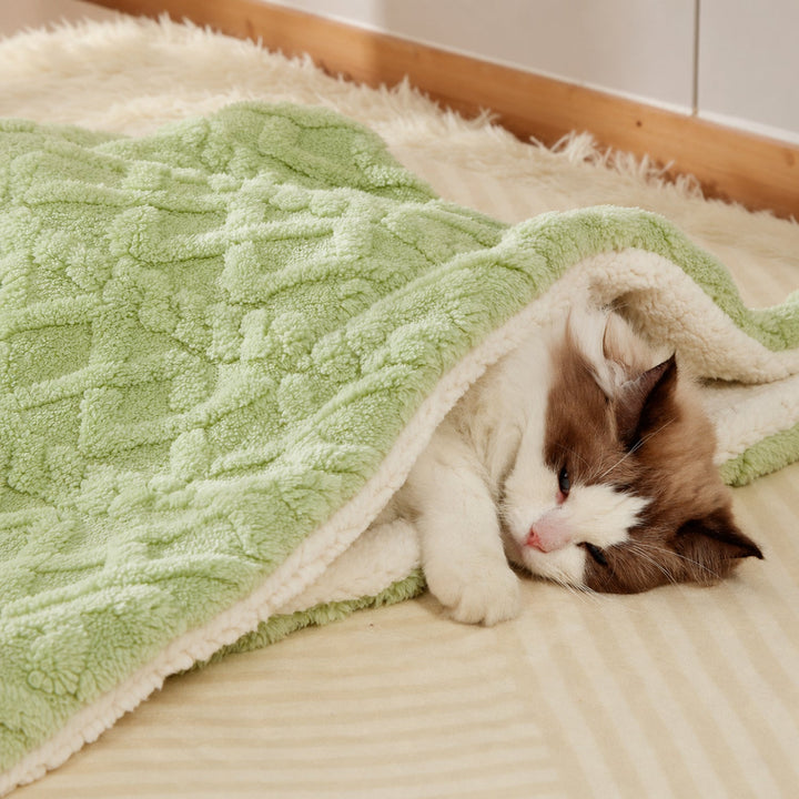Reversible Plush Pet Blanket | Warm Washable Winter Mat for Dogs & Cats