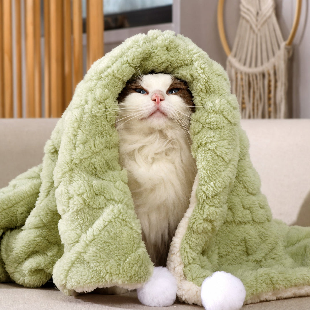 Reversible Plush Pet Blanket | Warm Washable Winter Mat for Dogs & Cats