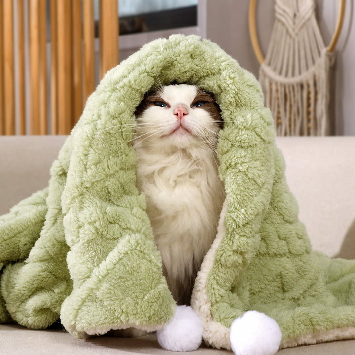 Reversible Plush Pet Blanket | Warm Washable Winter Mat for Dogs & Cats