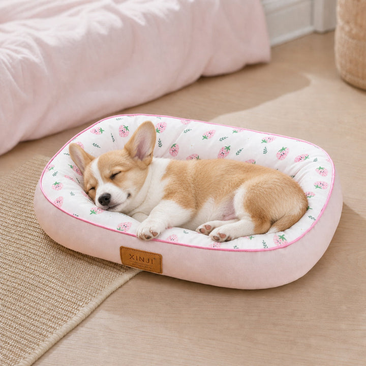 Dog Bed & Cat Bed | Strawberry Design | Cushioned Sides & Waterproof Non-Slip Base