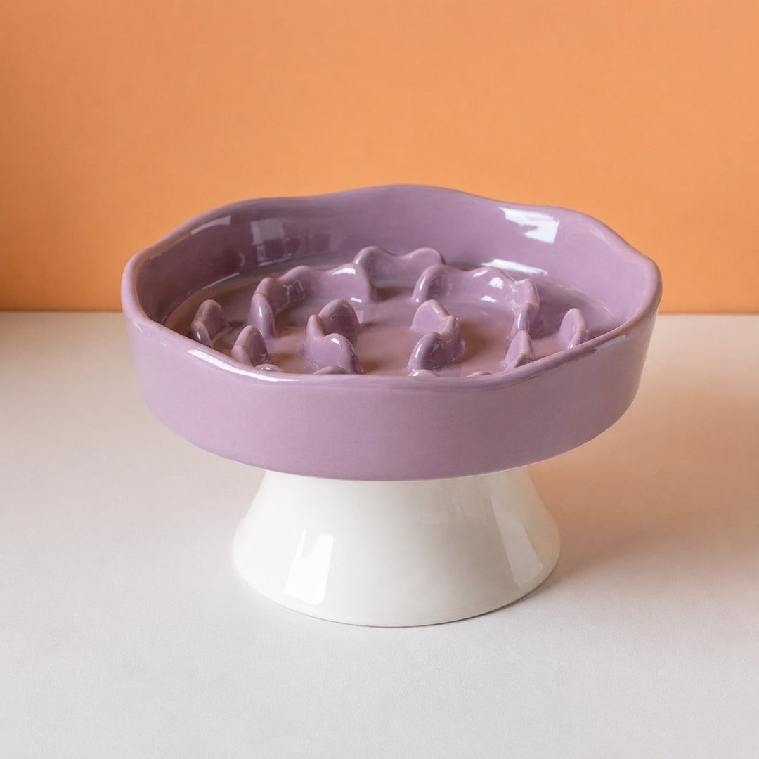 Elevated Floral Slow Feeder Bowl | Ceramic | Anti-Gulping for Cats & Small Dogs