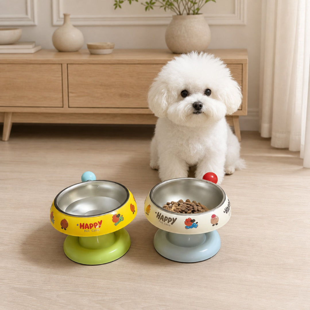 Elevated Stainless Steel Pet Bowl | Non-Slip Raised Feeder for Cats & Dogs