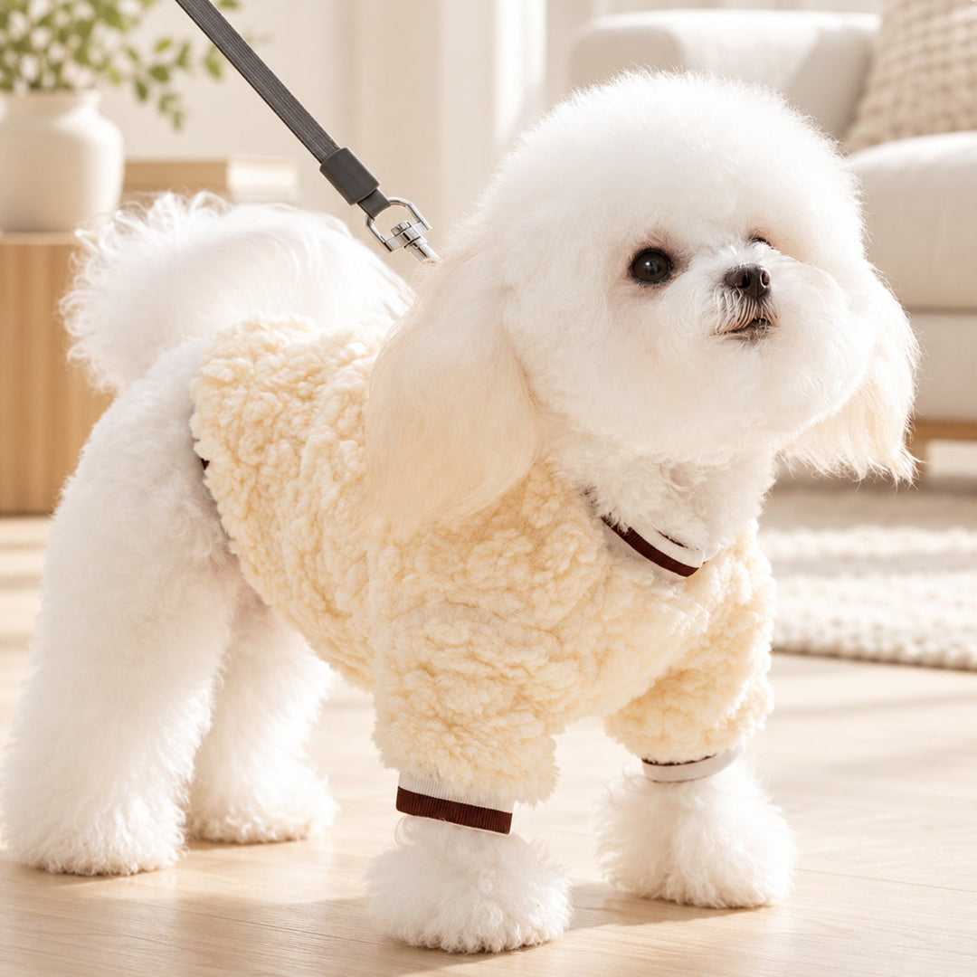 Teddy Face Dog Jumper | Soft Fleece with Lead Attachment Ring | Autumn & Winter