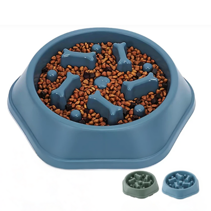 Slow Feeder Dog Bowl | Anti Choking Design | Non Slip Base | Easy Clean PP Food Dish