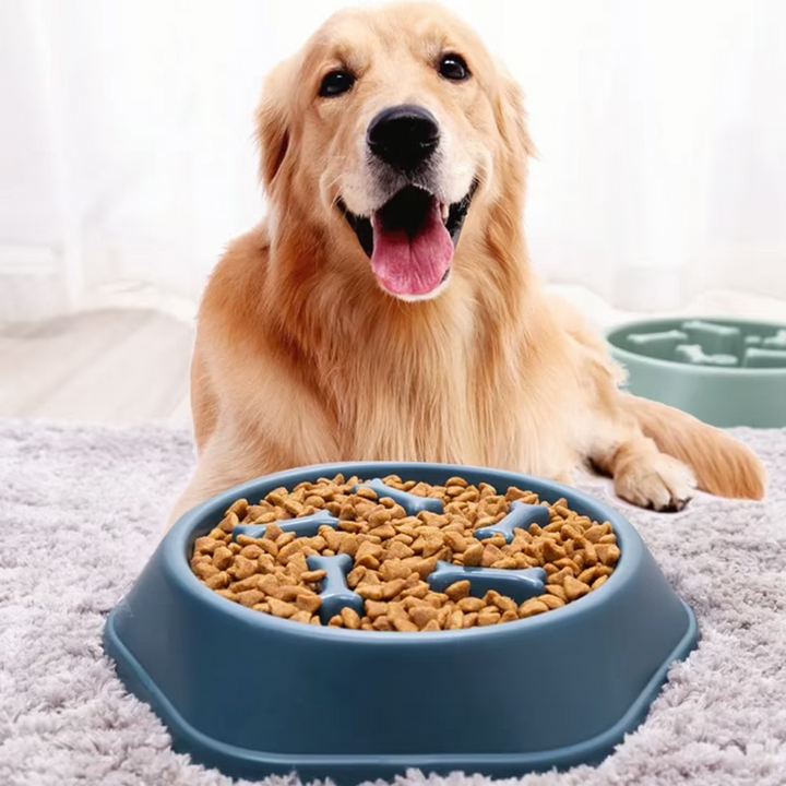 Slow Feeder Dog Bowl | Anti Choking Design | Non Slip Base | Easy Clean PP Food Dish