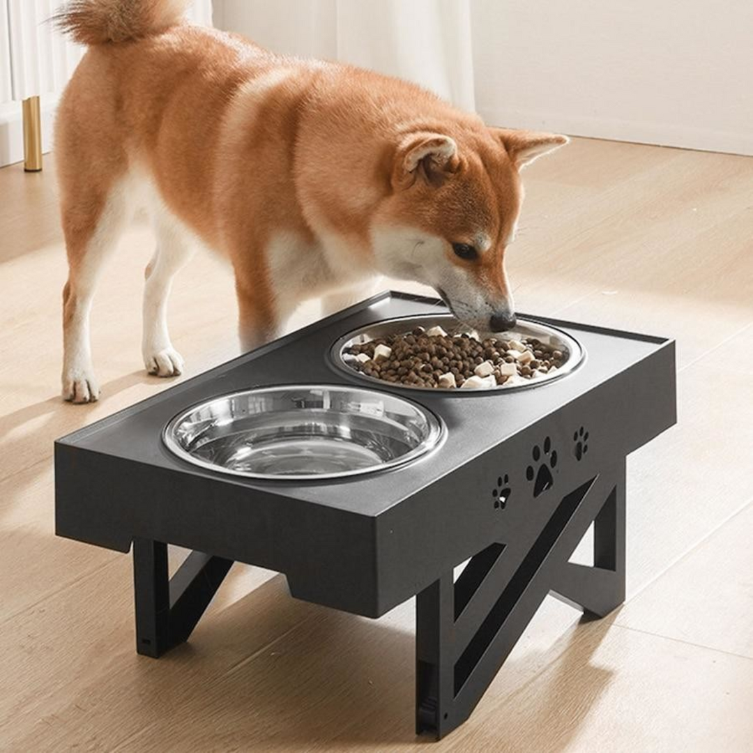 Adjustable Elevated Dog Bowl Stand | Slow Feeder | Healthier Eating Posture