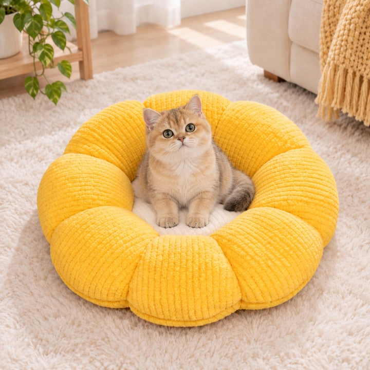 Cat Bed & Small Dog Bed | Flower Puff Pet Mat & Seat Cushion | Ribbed Plush